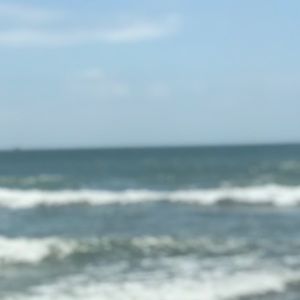 Meet your Posher, Charlee